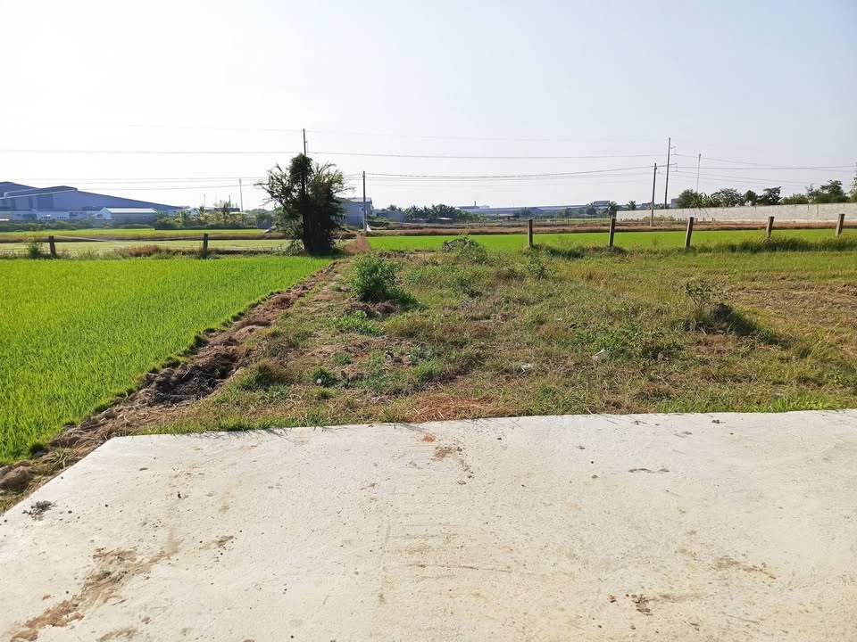 Bán lô đất thổ cư Thôn 3, Xã Hàm Liêm 100m² giá 600 triệu - Đường bê tông ô tô vào tận nơi!