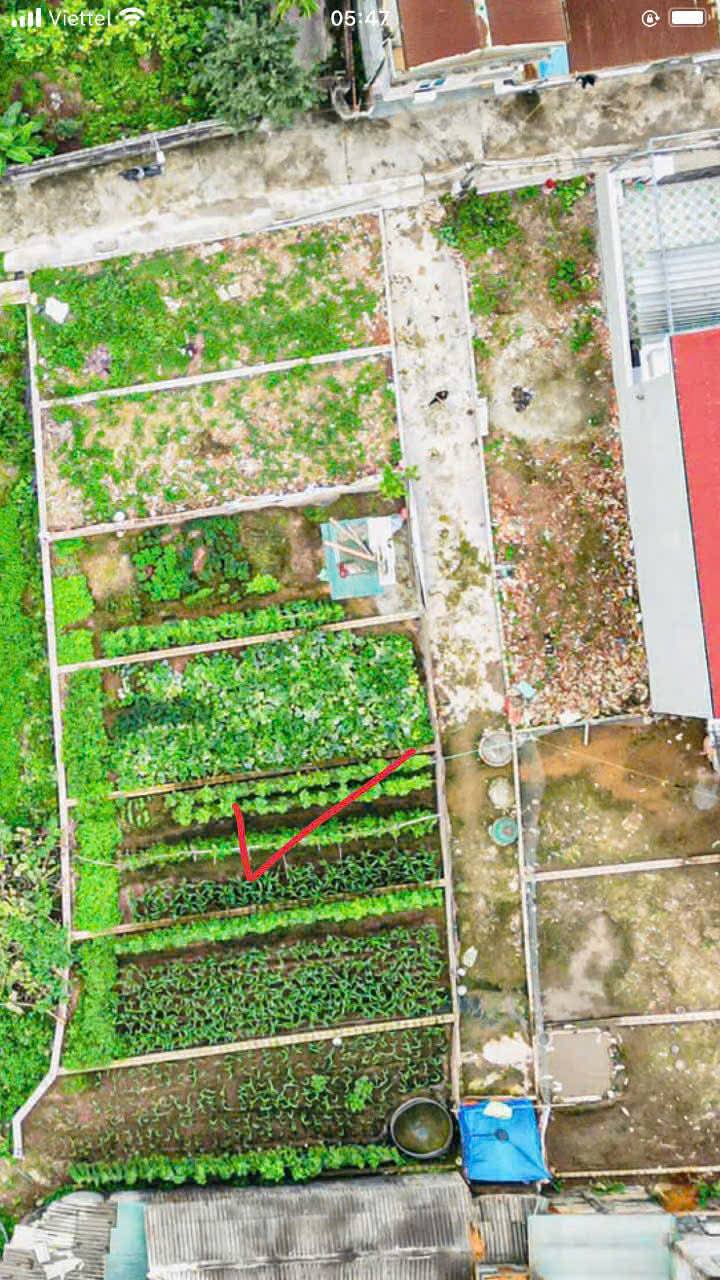 Lô đất 77,3m² Phù Yên - Viên An - Ứng Hòa giá chỉ 1 tỷ - Cơ hội đầu tư tuyệt vời!