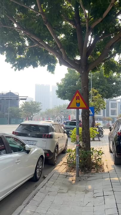 Cho thuê shop villa An Phú 800m² giá 35 triệu - Mặt tiền 19m kinh doanh đỉnh cao!