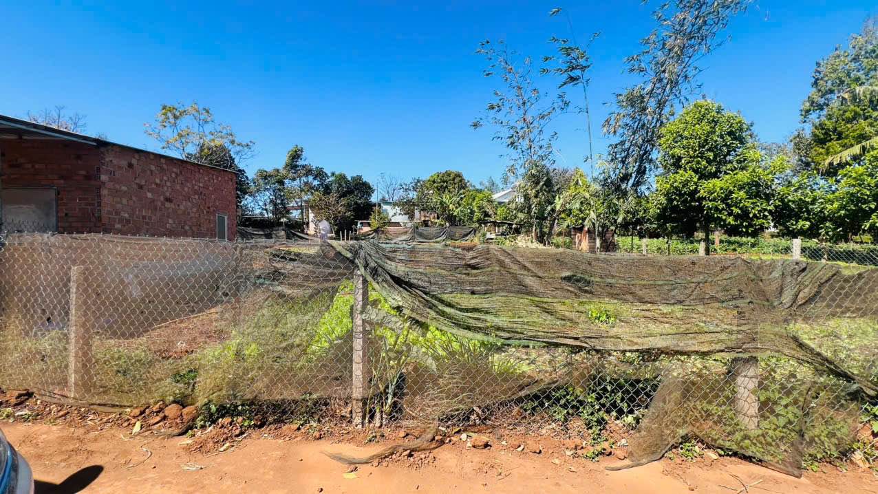 Đất nền 2 lô liền kề tại Hẻm 735 Lê Duẩn, Phường An Phú - Giá chỉ 499 triệu!