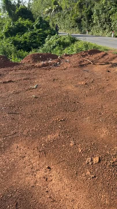 Lô đất thổ cư 132m² tại Thôn Mỹ Phú Đông, Bình Định - Đầu tư sinh lời ngay!