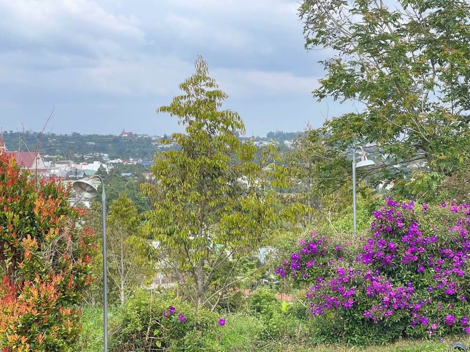 Đất nền hẻm Phan Huy Ích, Bảo Lộc 2723m² giá 5 tỷ - View toàn cảnh thành phố