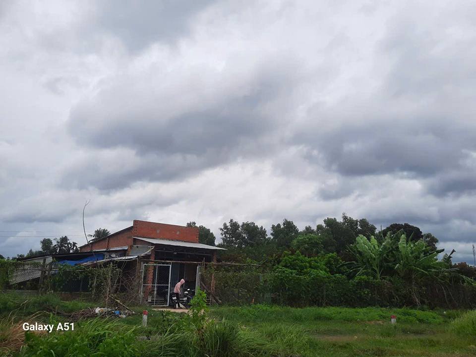 Đất trồng cây lâu năm tại Xã Phước Thạnh, Huyện Gò Dầu - 800 triệu - Có nhà sẵn