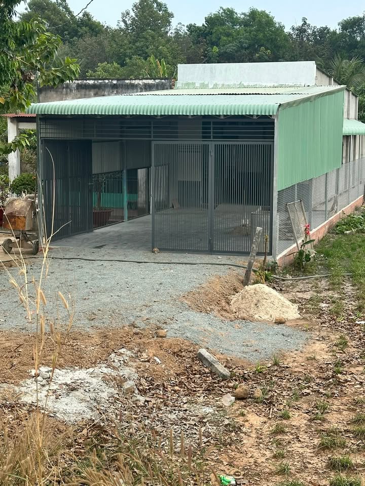 Bán gấp FrontHouse 200m² tại đường 793, Tân Lập - Giá chỉ 750 triệu!