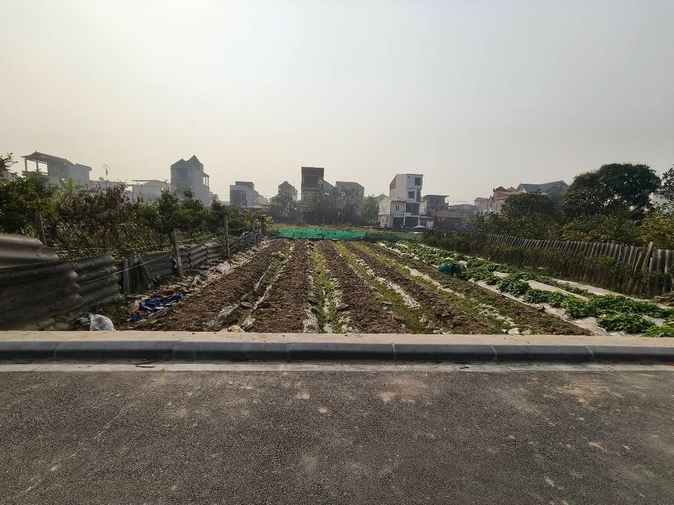 Đất ruộng Viên Nội Đông Anh 264m² giá 950 triệu - Cơ hội đầu tư tiềm năng!