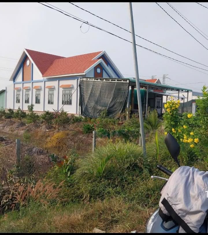 Đất nền Long An 1535m² giá 3,1 tỷ - Mặt tiền đường nhựa thuận lợi!