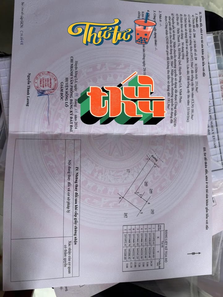 Đất thổ cư xã Đồng Quế, Sông Lô 232m² giá chỉ 800 triệu - Đầu tư sinh lời ngay!