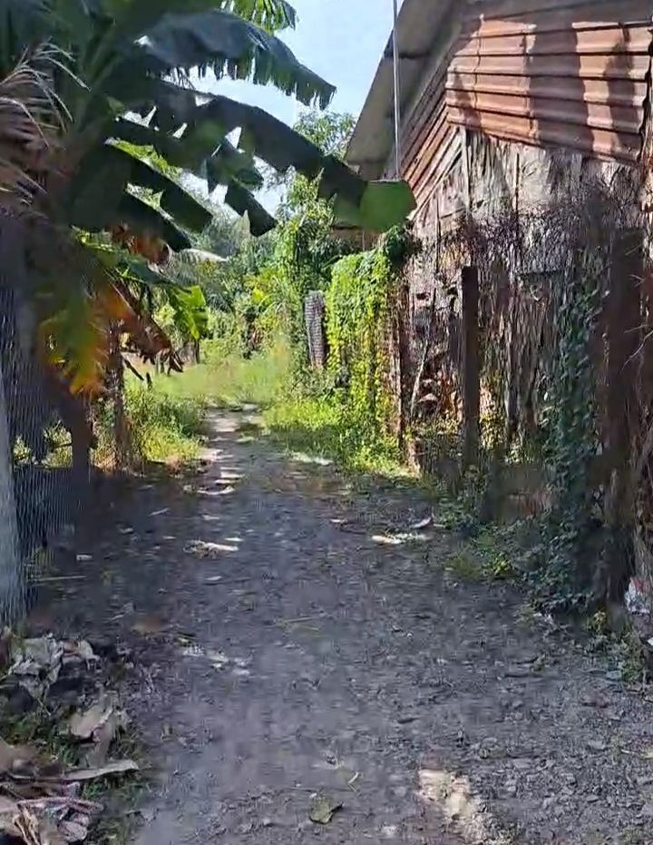 Đất nền 200m² tại Ấp Cây Da, Hiệp Thạnh - Giá chỉ 330 triệu - Đầu tư sinh lời ngay!