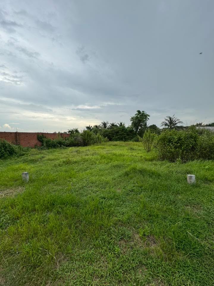 Đất nền 115m² tại Thị trấn Gò Dầu - Giá thỏa thuận, chính chủ bán gấp!