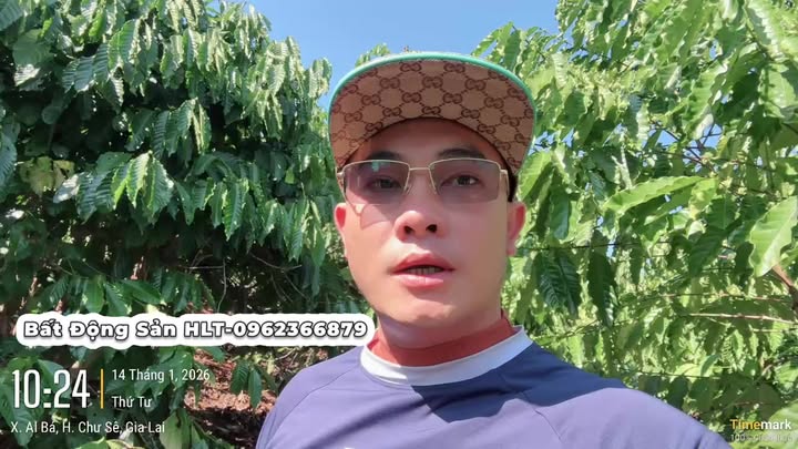 Lô rẫy 1.8ha tại Xã AL Bá, Huyện Chư Sê - Giá thỏa thuận hấp dẫn!