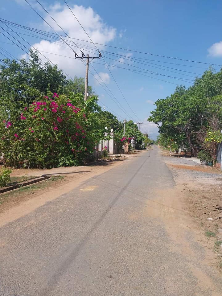 Lô đất thôn 1B Trà Tân 1560m² giá 1.326 tỷ - Đầu tư sinh lời tốt!