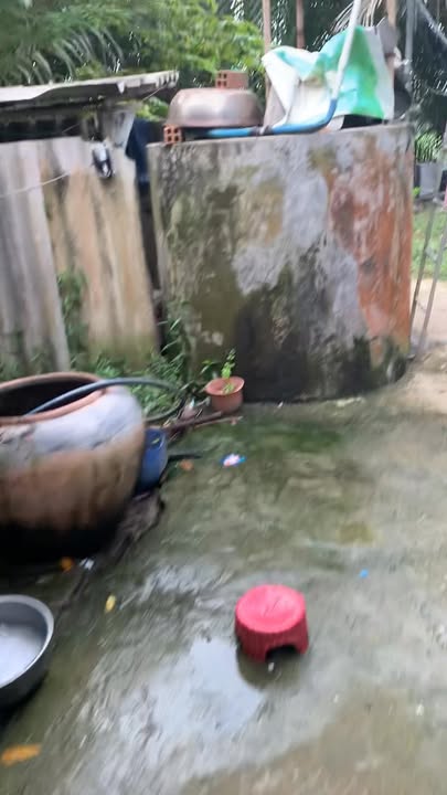 Đất 2 mặt tiền đường DH99B và sông Gò Công tại Phường Sơn Qui - 5.000m² giá chỉ 2.5 tỷ!