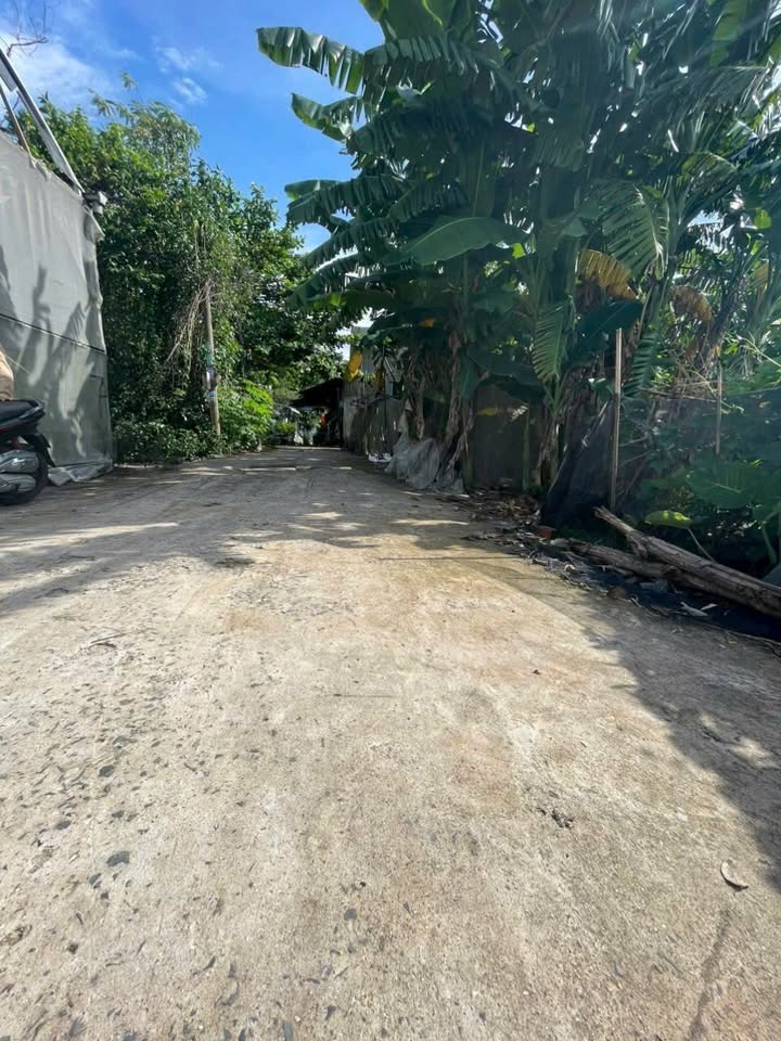 Đất Hóc Môn 100m² giá 2.9 tỷ - Sổ hồng chính chủ, xây dựng tự do!