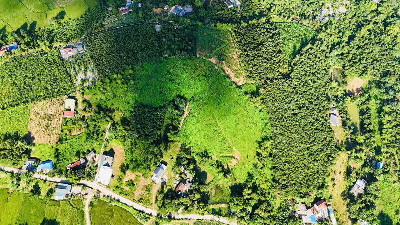 Đất Farm Cao Dương Lương Sơn 16.000m² giá 2 tỷ - Cơ hội đầu tư hiếm có!