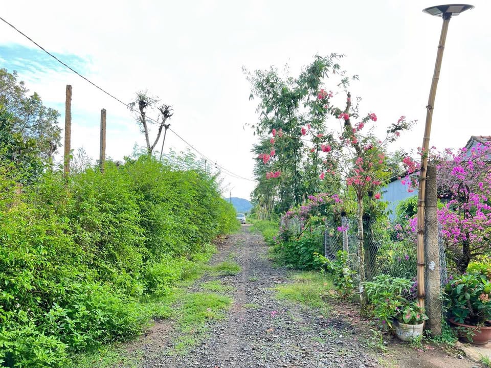 Đất nền Ea Hu, Cư Kuin 470m² giá 479 triệu - Tiềm năng đầu tư sinh lời!