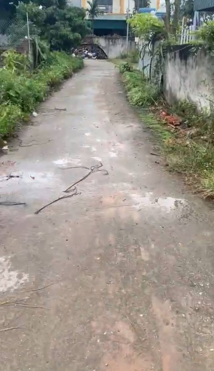 Đất nền Lê Xá, Mỹ Hào - 82m² giá 1.2 tỷ - Tiềm năng tăng giá mạnh!