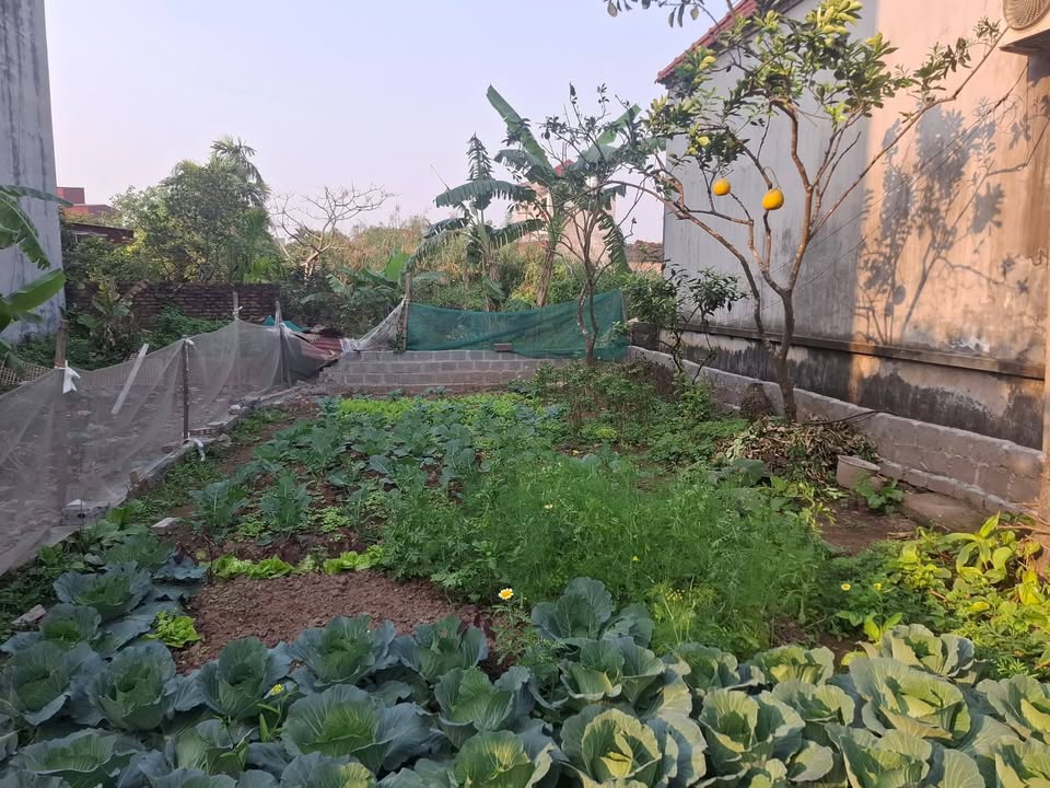 Lô đất Đông Chiểu, Hưng Yên 67m² giá 2 tỷ - Tiềm năng đầu tư hấp dẫn!