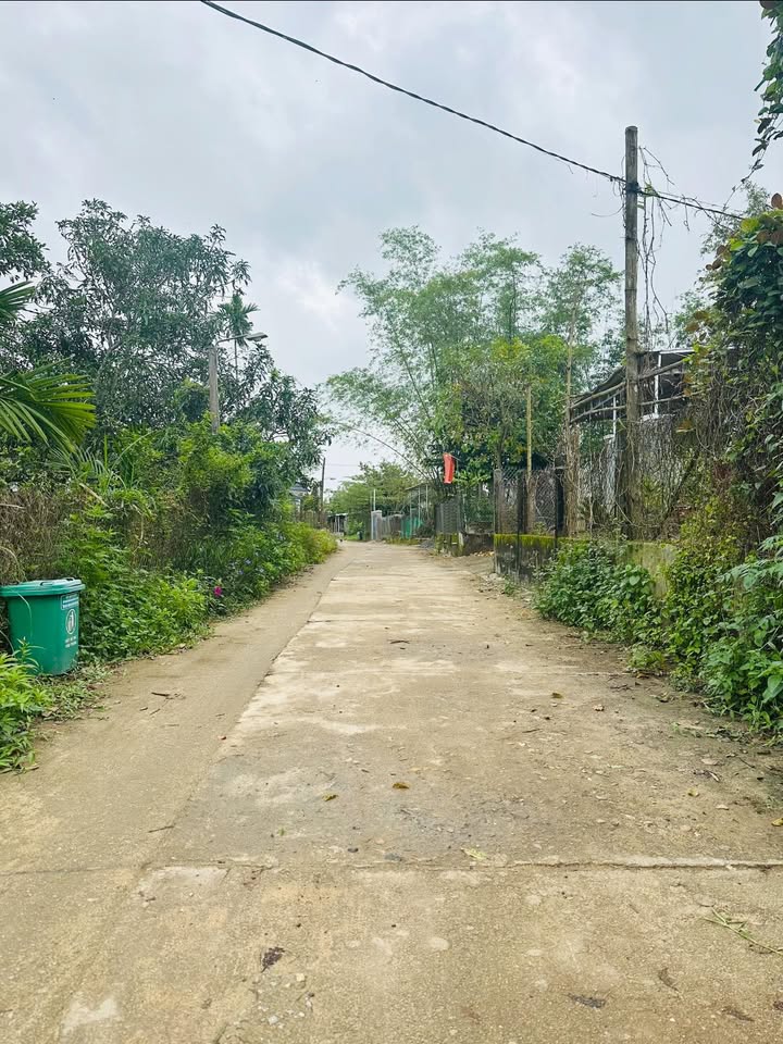 Đất nền Thôn Khánh Thọ, Tam Thành 260m² giá 6xx triệu - Sổ đỏ chính chủ, thương lượng tốt!