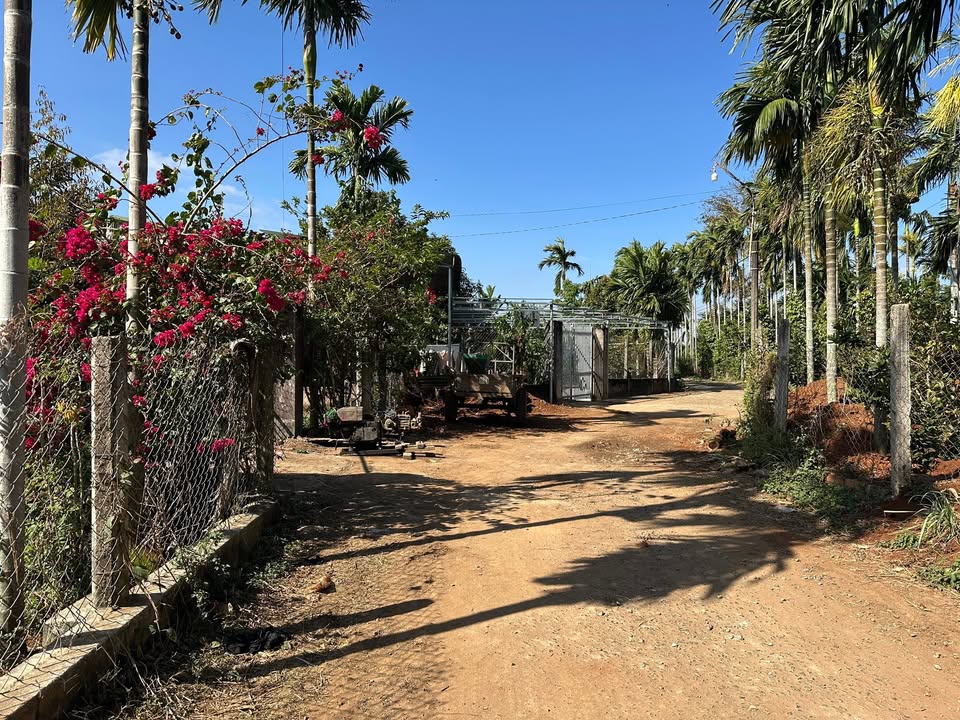 Đất thổ cư xóm Chuối gần biệt thự Việt Lan 180m² giá 400 triệu - Cơ hội đầu tư hấp dẫn!