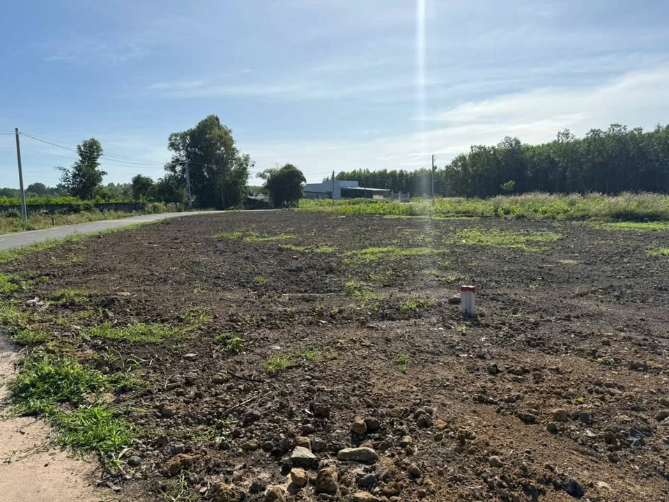 Đất nền Thị trấn Đất Đỏ 112.5m² giá 590 triệu - Đầu tư sinh lời ngay!