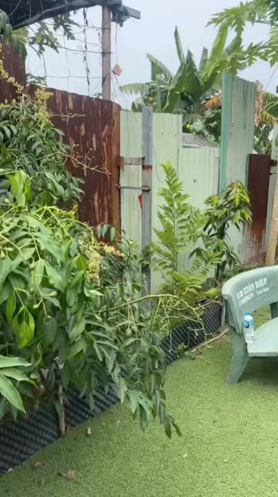 Bán đất Vĩnh Lộc A, Bình Chánh 200m² giá 1,5 tỷ - Đất nông nghiệp tiềm năng!