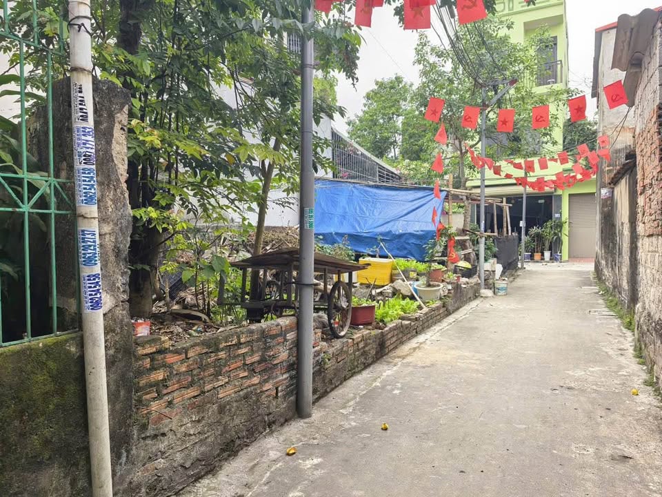 Đất nền Trương Hán Siêu, Thanh Hóa 68,3m² - Hướng Đông Nam, chính chủ bán gấp!