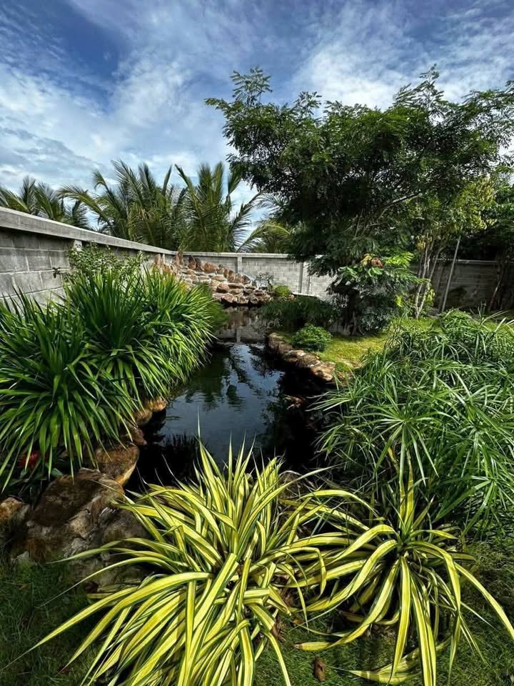 Nhà vườn cho thuê tại Phú Hải 1000m² giá 8 triệu - Nội thất đầy đủ, gần bãi tắm!