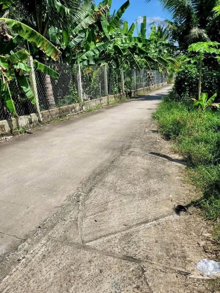 Đất nền Bến Tre 356m² giá 1.33 tỷ - Giảm giá thu hồi vốn nhanh!