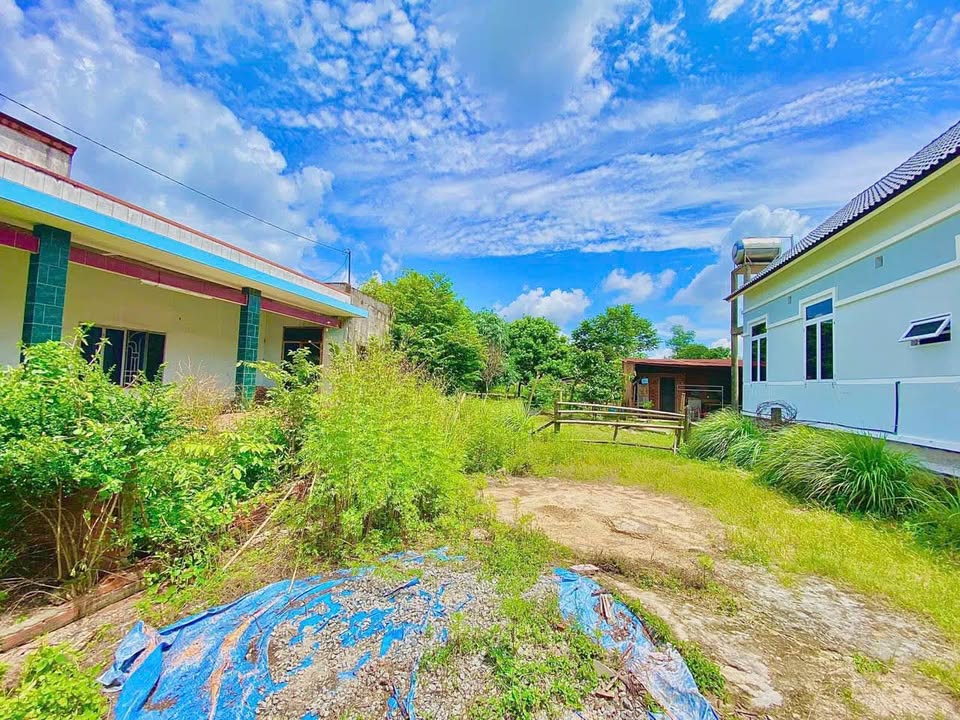 Đất thổ cư An Nhơn Tây, Củ Chi 3350m² - Mặt tiền đường Phú Thuận, giá thỏa thuận!