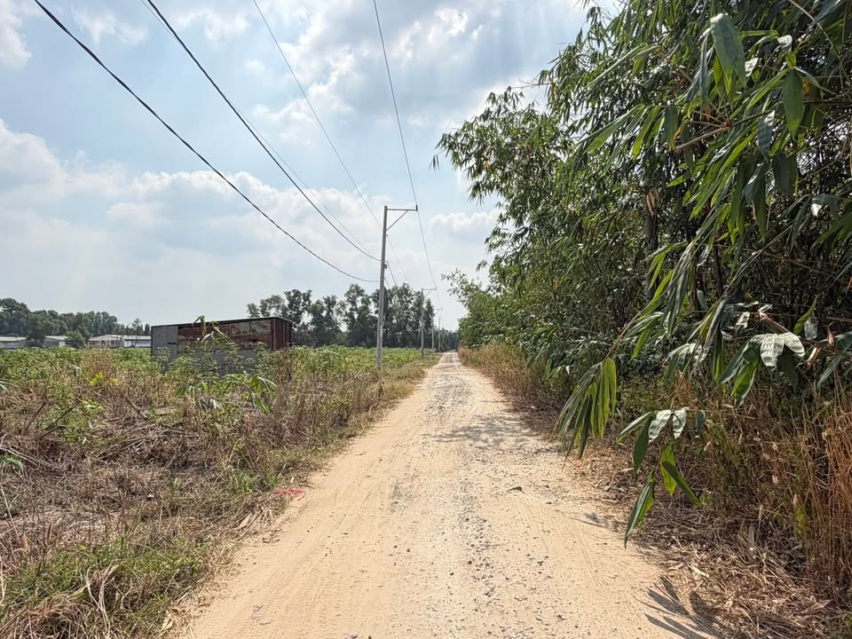 Đất nông nghiệp CLN Trừ Văn Thố 19.823m² giá 14.5 tỷ - Đầu tư sinh lời bền vững!