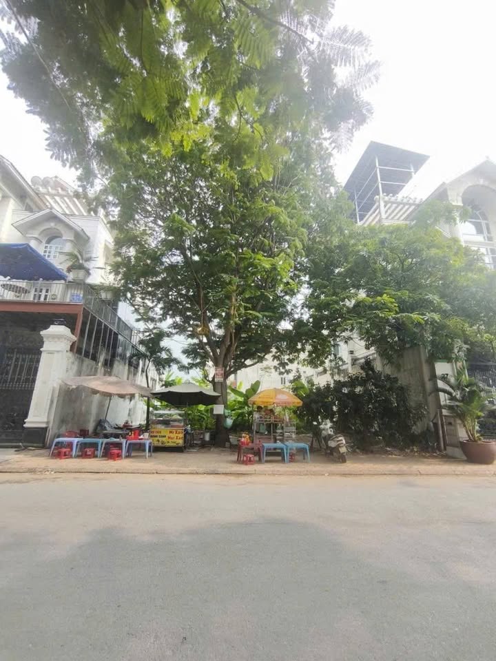 Đất nền Lê Hưu Kiều, Thủ Đức 295m² - Sổ hồng chính chủ, giá thỏa thuận!