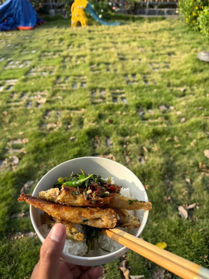 Đất nền Thị trấn Đất Đỏ 230m² giá 450 triệu - Cơ hội đầu tư tuyệt vời!