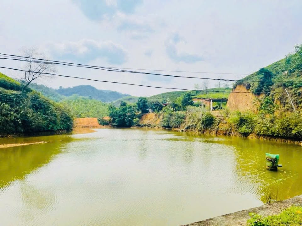 Đất nghỉ dưỡng 30,000m² tại Tân Sơn, Phú Thọ - Giá chỉ 3 tỷ, cơ hội đầu tư tuyệt vời!