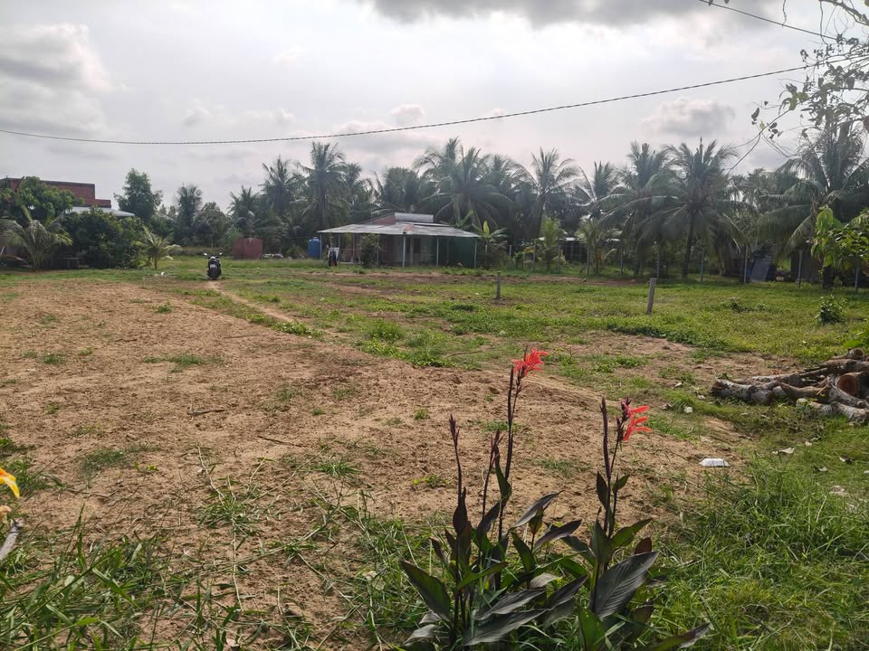 Cho thuê kho bãi 960m² tại ấp An Ngãi A, Huyện Thạnh Phú - Diện tích rộng, tiện ích đầy đủ!