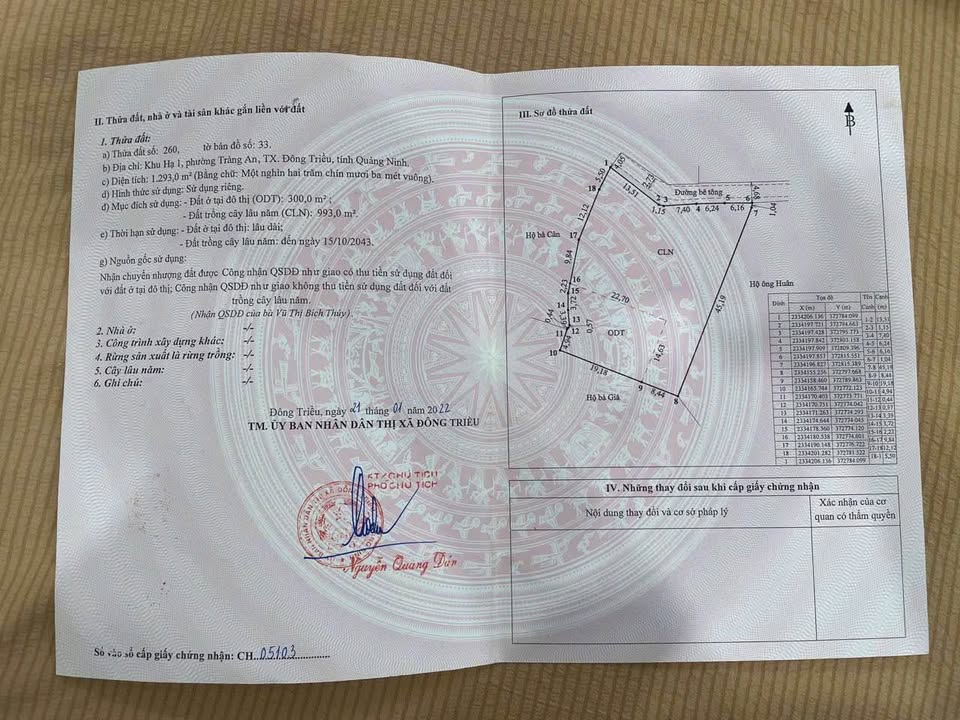 Đất nền Tràng An, Đông Triều 1293m² chỉ 3.879 tỷ - Đầu tư sinh lời hấp dẫn!