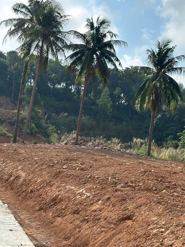 Đất nền Trần Hưng Đạo, Phú Quốc 415m² giá 14.53 tỷ - Mặt tiền 14m, kinh doanh đắc địa!