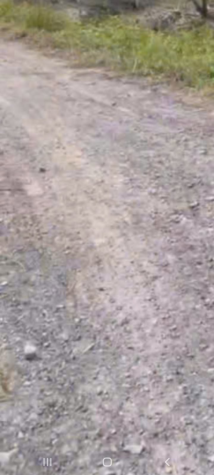 Đất thổ cư 1340m² tại Đường Đá, TP. Tây Ninh - Giá chỉ 1 tỷ!