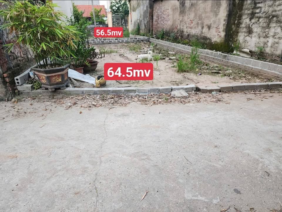 Đất nền Nghĩa Dân Kim Động 64m² giá 1.2 tỷ - Đầu tư tiềm năng ngay vị trí thuận lợi!