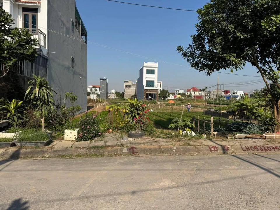 Lô Đất TĐC Gốc Lim Đằng Hải 100m² giá 3 tỷ - Đường rộng 15m, vị trí đắc địa!