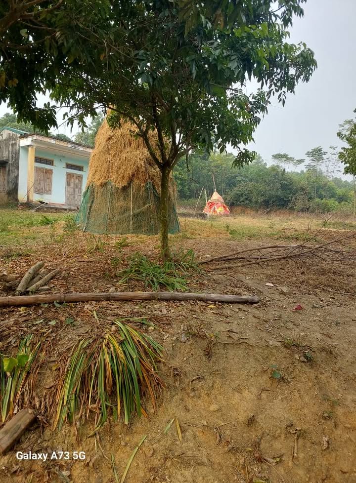 Đất thổ cư 3000m² tại thôn 4, Tuyên Quang - Đầu tư sinh lời hấp dẫn!