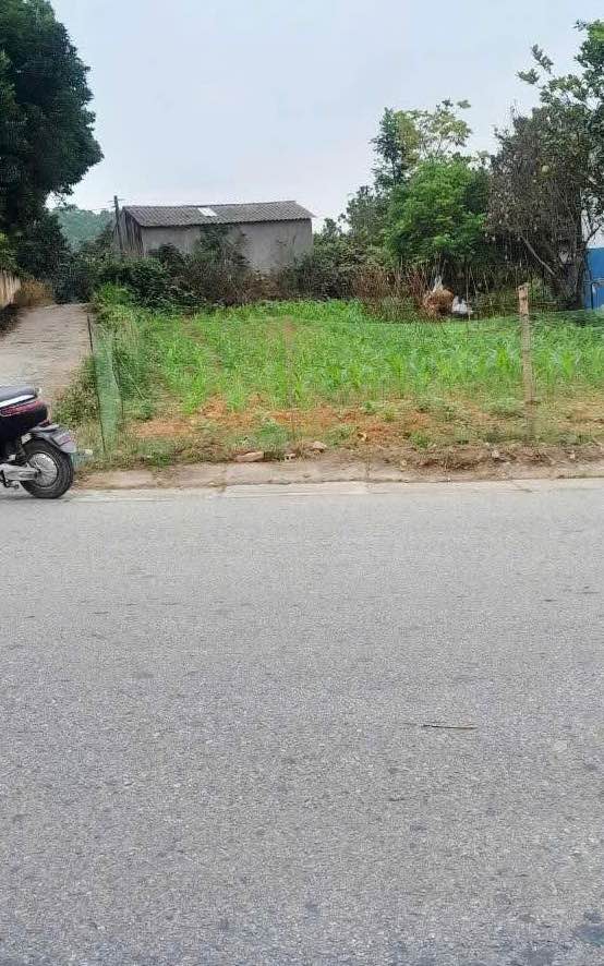 Đất mặt đường Chính Thái Long 145m² giá nhỉnh 1 tỷ - Vị trí đẹp, kinh doanh thuận lợi!