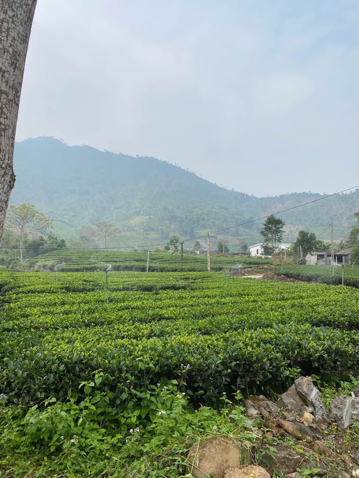 Đất nông nghiệp 6400m² tại Khu du lịch suối Kẹm La Bằng - Giá chỉ 3 tỷ!