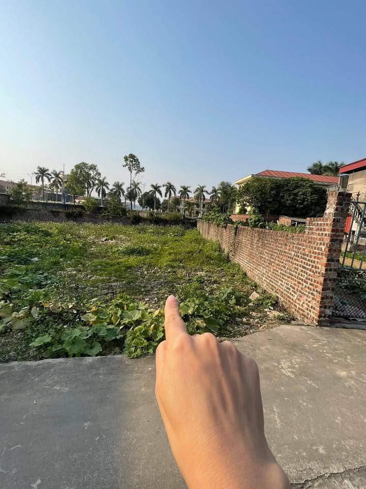 Đất nền Thôn Nội Phú, Gia Bình 106m² giá 3 tỷ - Đường ô tô vào tận đất!