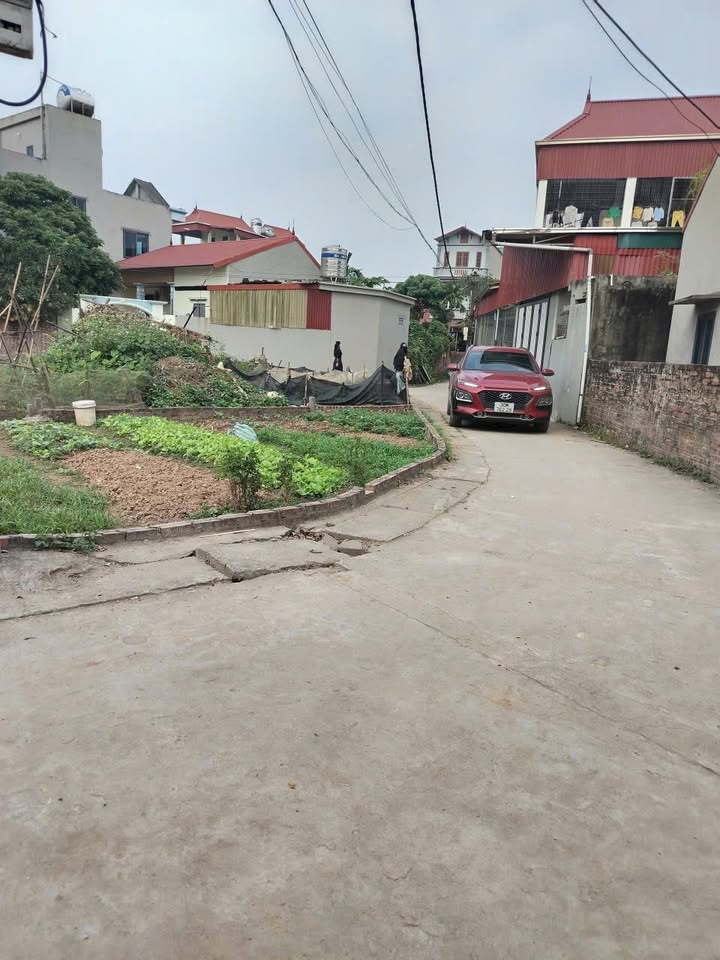 Đất nền T&T Gogup Phúc Thọ 48,5m² giá 19 tỷ - Lô góc ô tô vào tận nơi!