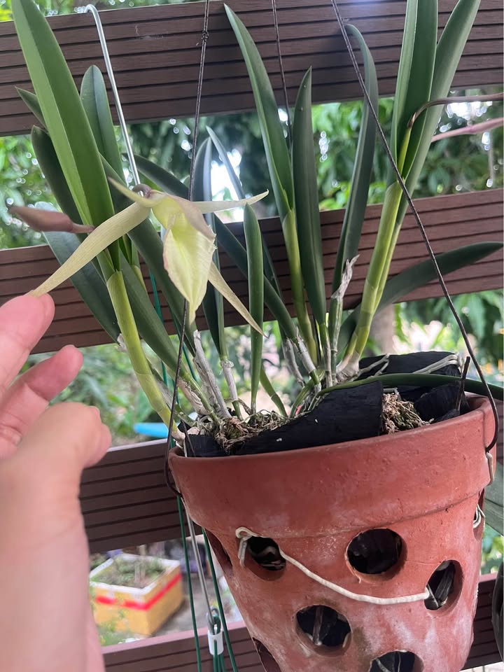 Nhà mặt tiền 1/4 Sông Cầu - Kinh doanh thuận lợi, giá thỏa thuận!