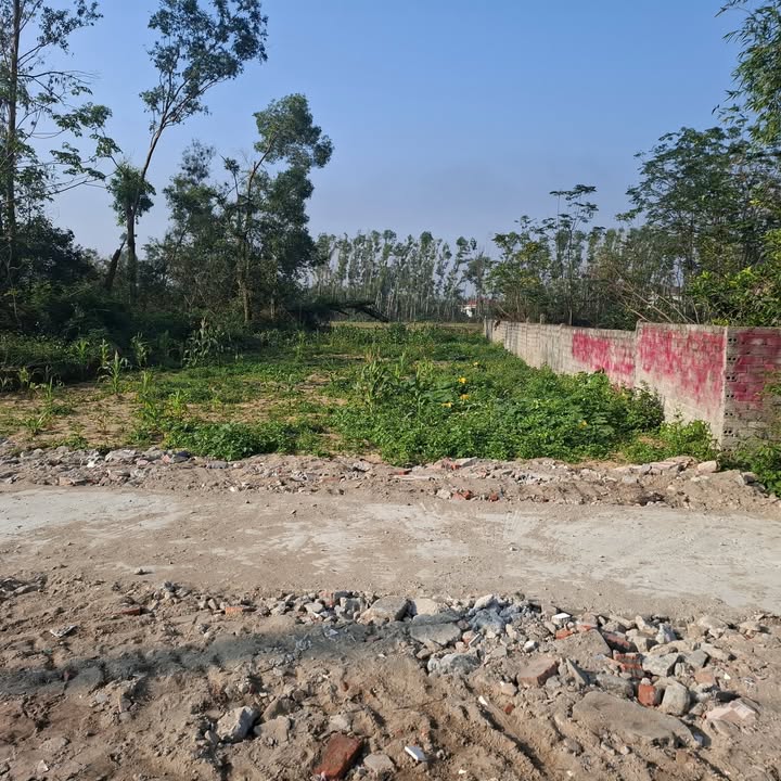 Đất nền Xóm 2, Phường Hưng Lộc, 374m² - Bán gấp, vị trí tiềm năng!