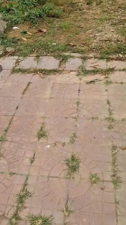 Nhà mặt tiền Trường Chinh, Xuân Hoà, Phúc Yên 127m² giá 3.9 tỷ - Cơ hội vàng đầu tư!