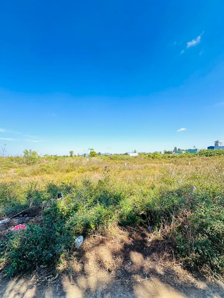 Đất Hẻm 302 Phạm Ngọc Thạch, Quận Đống Đa 100m² giá 600 triệu - Cơ hội đầu tư tuyệt vời!