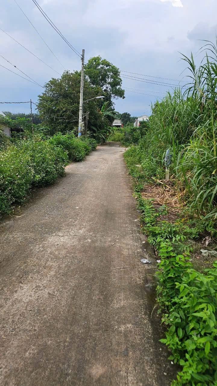 Đất thổ cư 354m² mặt đường Tân Định, Bắc Tân Uyên chỉ 1.15 tỷ - Đầu tư sinh lời ngay!