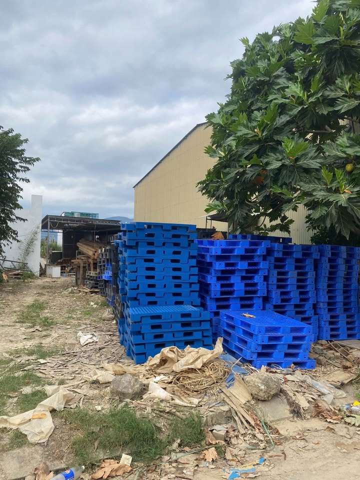 Đất nền Phú An Nam, Diên An 120m² giá chỉ 3.84 tỷ - Đầu tư sinh lời tốt!